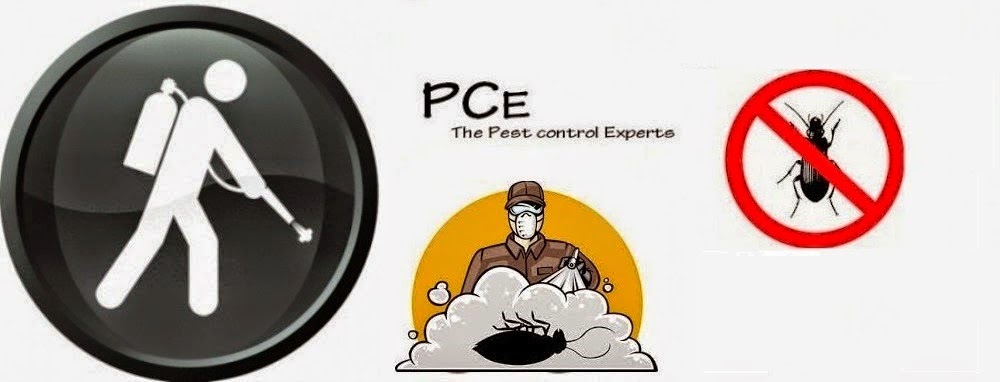 Pestcontrolexpert offer pest & termite control in calicut