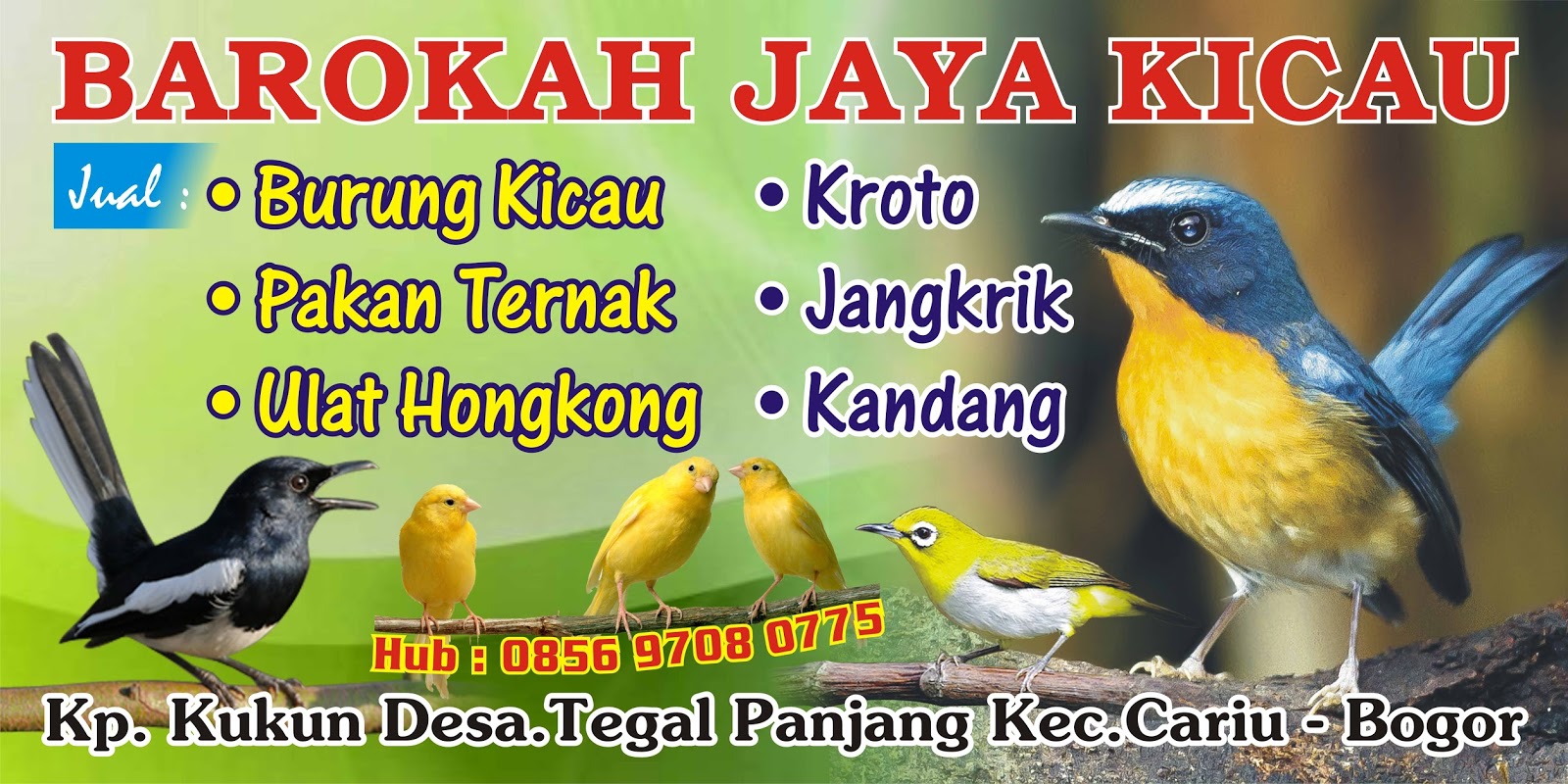 Contoh Mmt Jual Pakan Burung