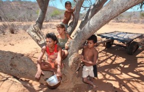 Brasil Carinhoso: contra a seca e a fome dos pobres brasil-carinhoso-pobres-seca-nordeste