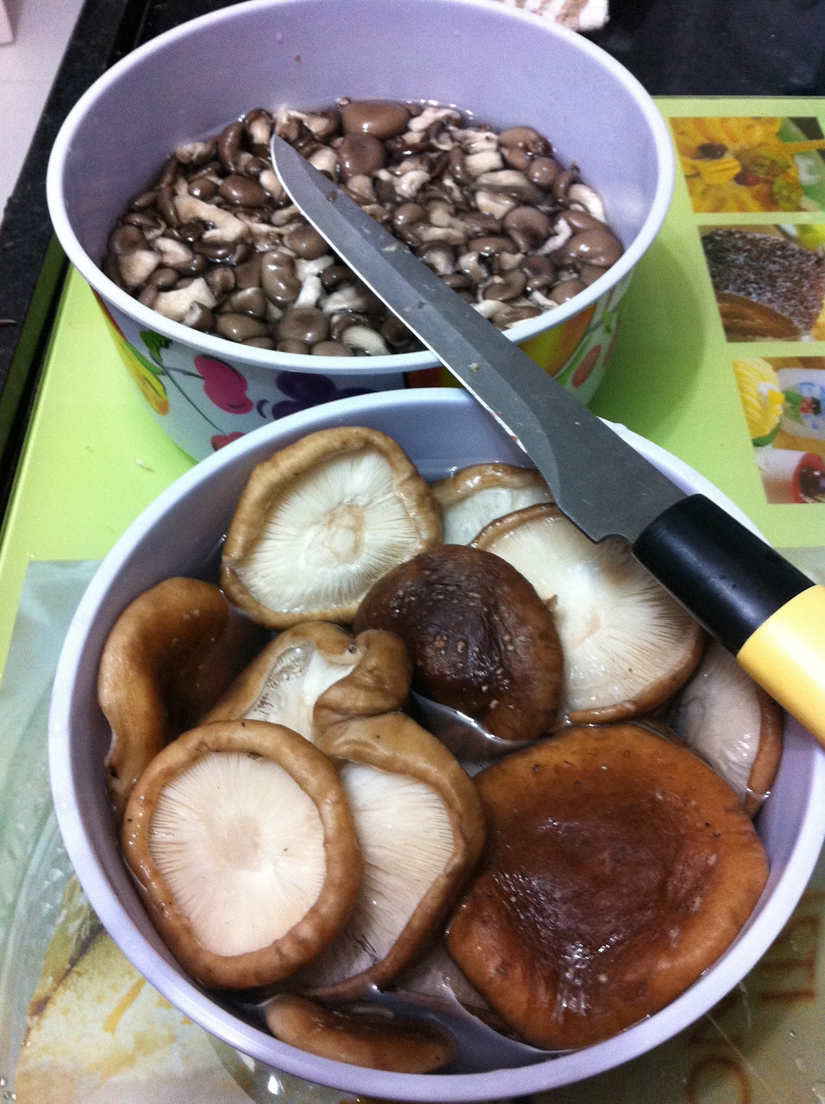 Gastronomia e Diversos by TRENTINI ((( Shimeji e Shitake na Manteiga )))