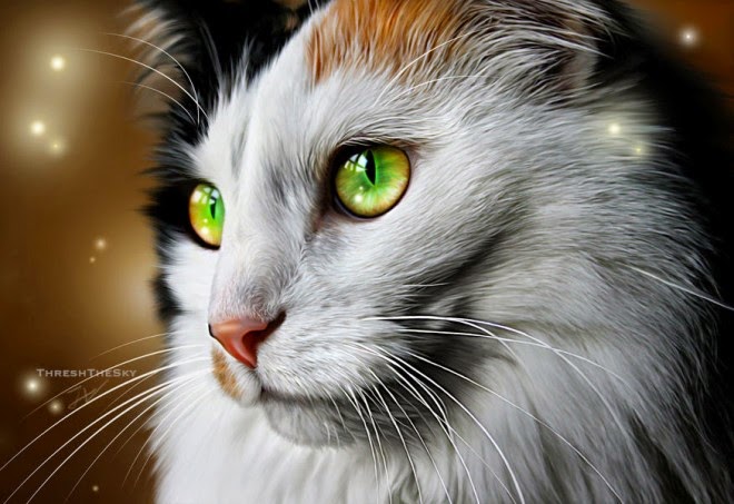 20+ Beautiful Realistic Cat Drawings To inspire you - Fine Art and You