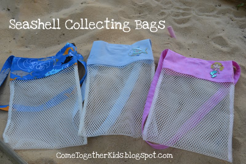sea shell collecting