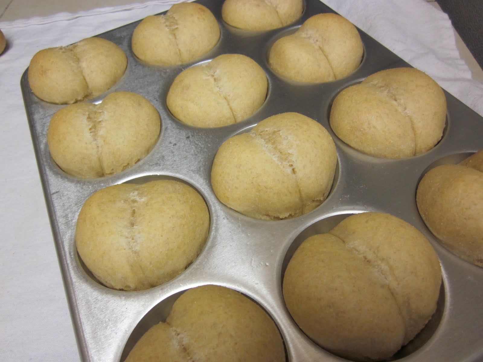 Whole Wheat Rolls (Bread Machine)