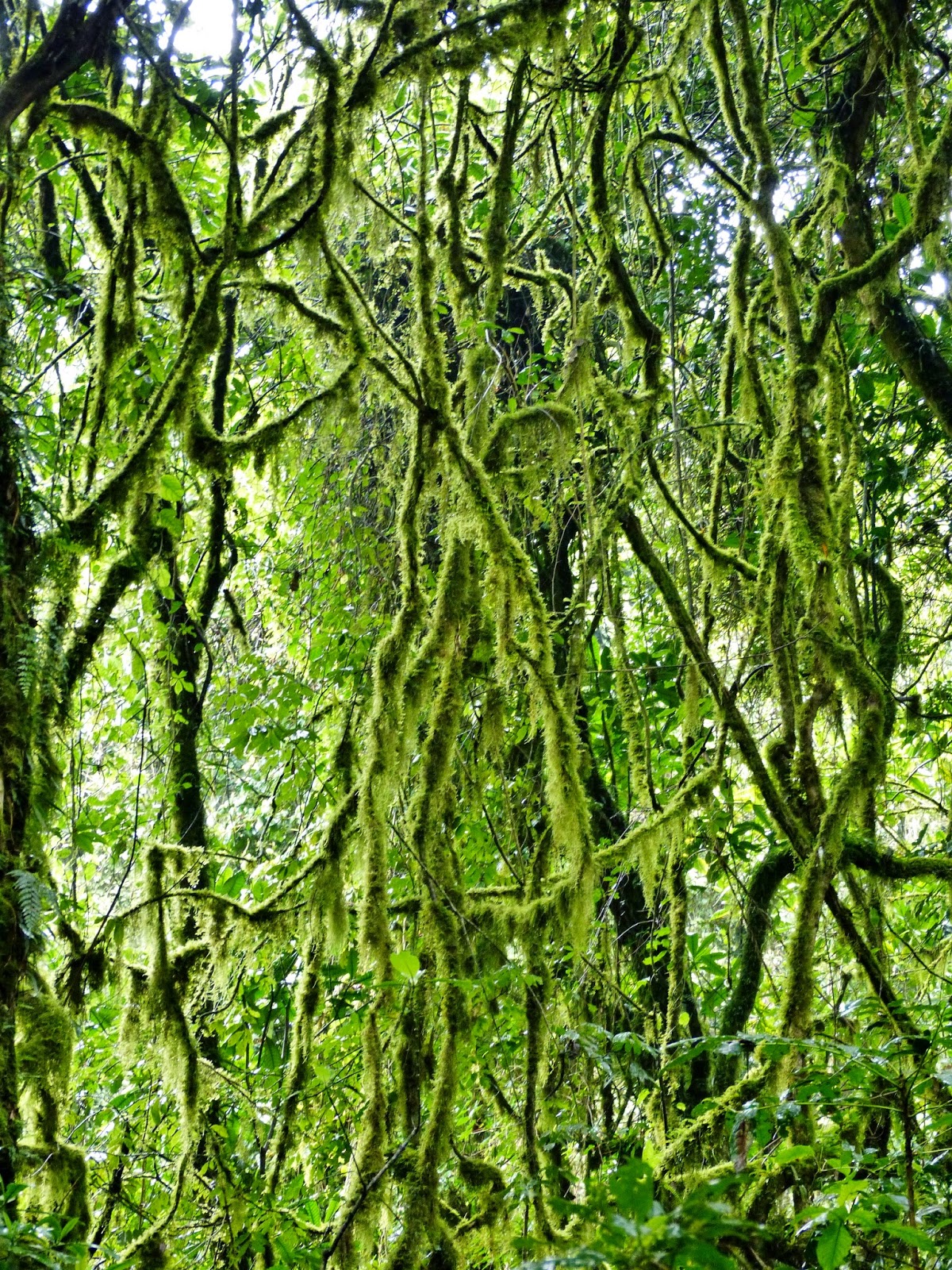 au nom de la vérité mauvaise rencontre sur le net acteur