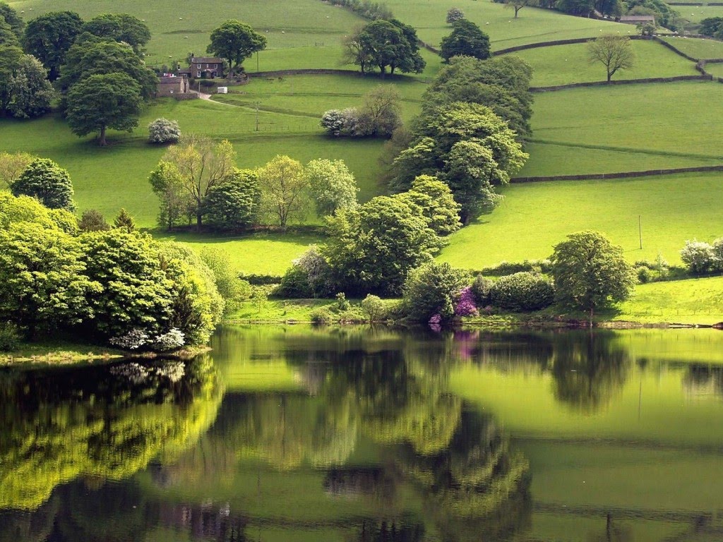 http://4.bp.blogspot.com/-TSvta8h1C7E/T8yye7FfTAI/AAAAAAAABmo/GvybzQN6_ww/s1600/Beauty+of+Nature+2.jpg