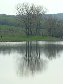 Lake view between Paisii and Strelets