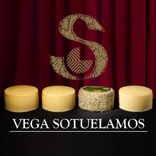 Vega Sotuélamos