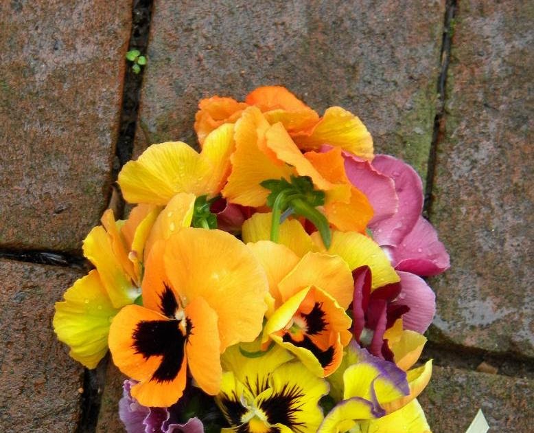 pansy wedding bouquet