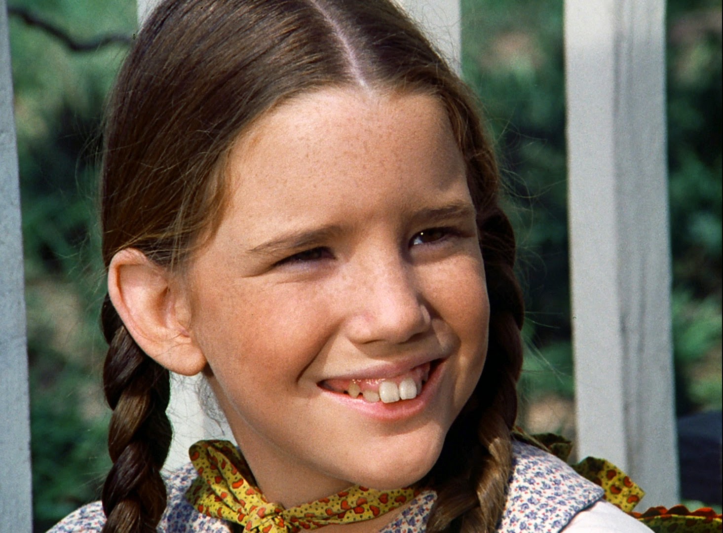 A Lucky Ladybug: Little House On The Prairie – Season Two Deluxe