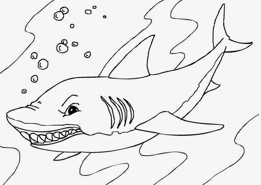 Coloring Pages: Shark Coloring Pages Free and Printable