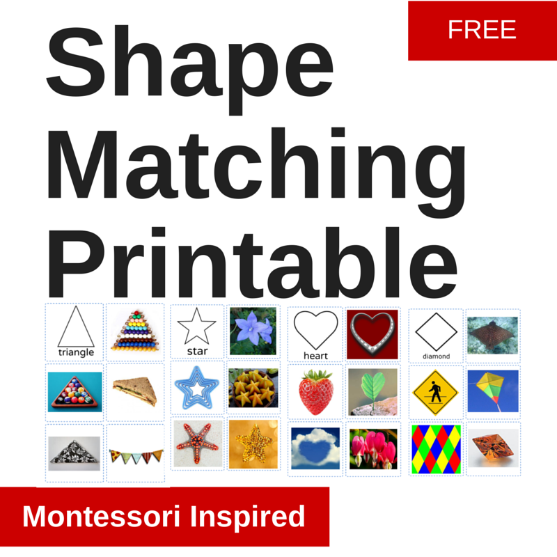 Printable Montessori | montessori nature montessori printables Printable Montessori | montessori nature montessori printables
