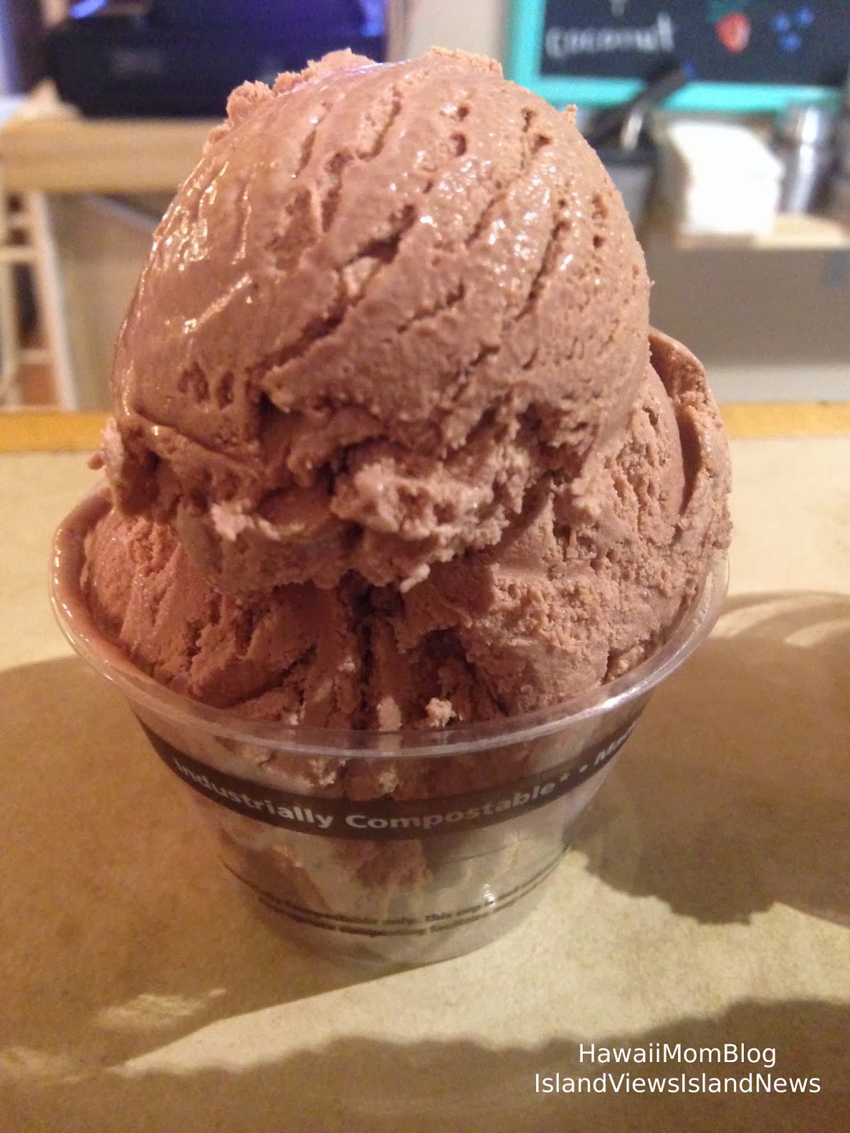 Hawaii Mom Blog Scoop of Paradise Factory Waialua