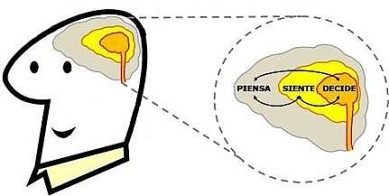 lexion cohesion Realice la corrección ortográfica, gramatical y de estilo de sus textos en español con stilus. lexion cohesion Realice la corrección ortográfica, gramatical y de estilo de sus textos en español con stilus.