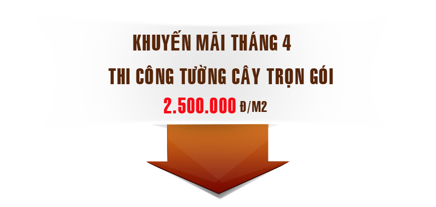 Thi công tường cây, vườn đứng đẳng cấp - 6