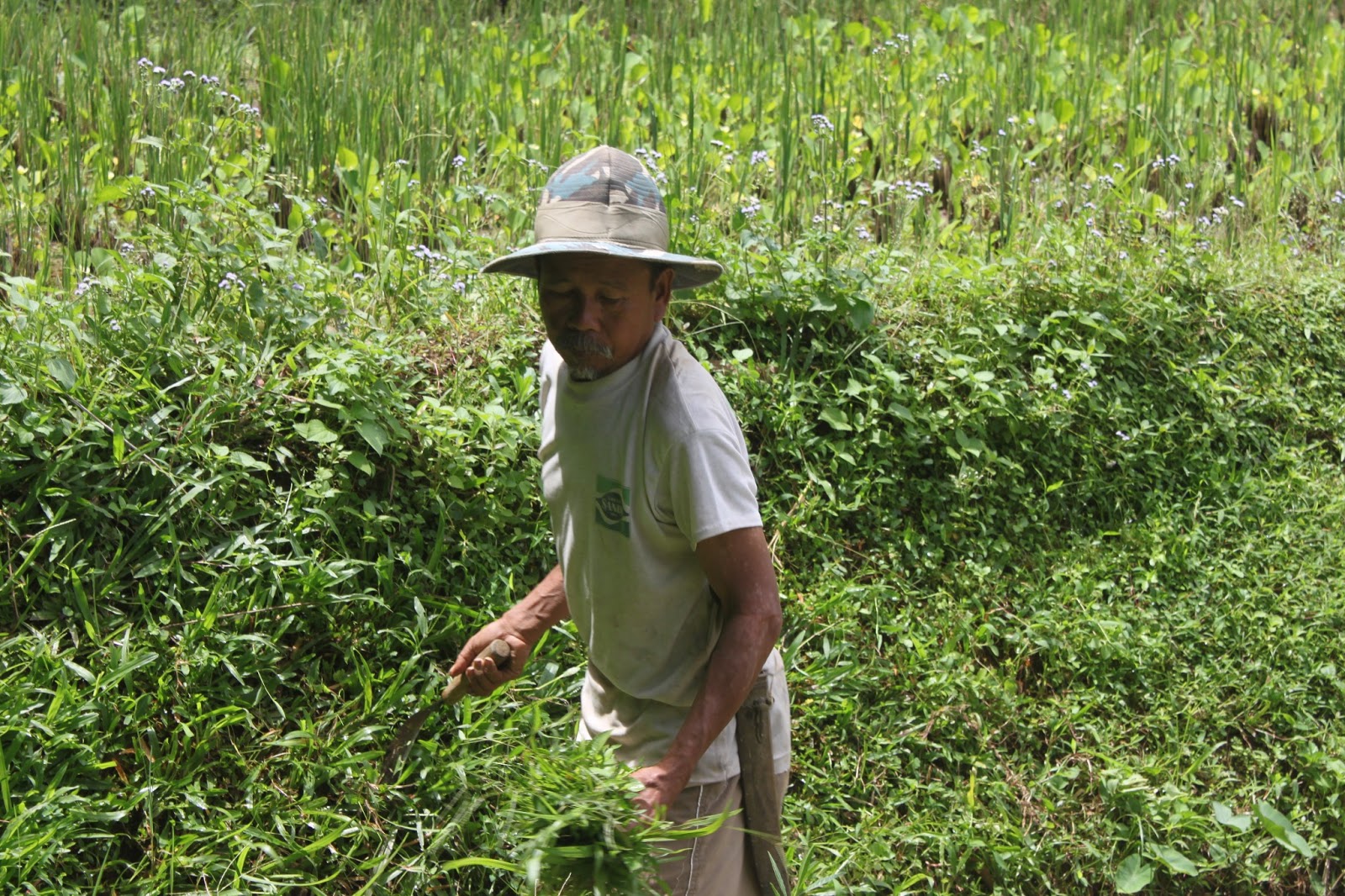 Komunikasi Antarbudaya: Menelusuri Kebudayaan Kampung Naga