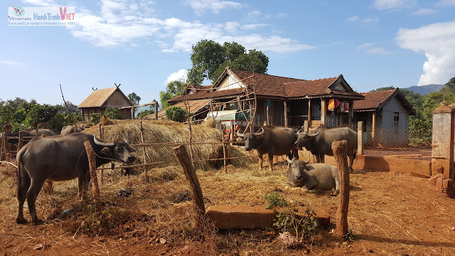 Thăm làng Phun - Pleikep dân tộc Jarai ở Gia Lai