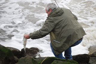 litton lines fishing
