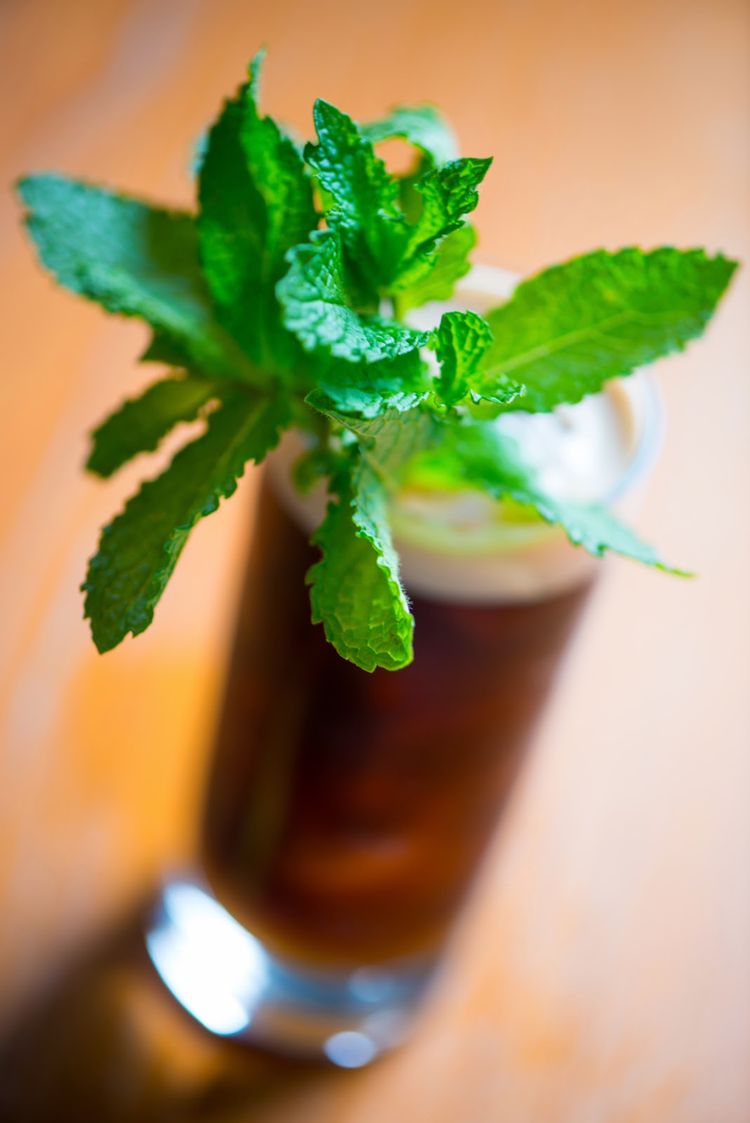 gibson drink wiki