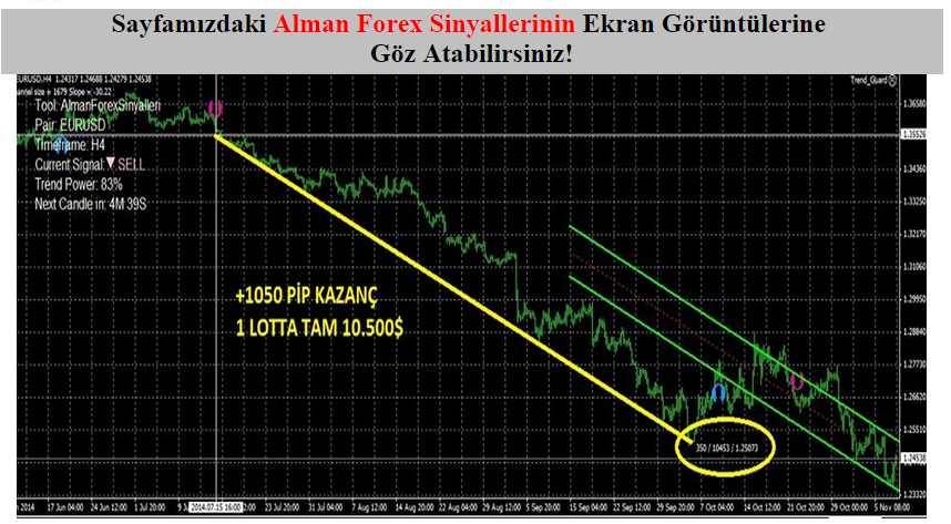 Forex en iyi robot