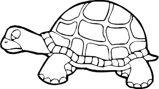 Turtle Coloring Pages