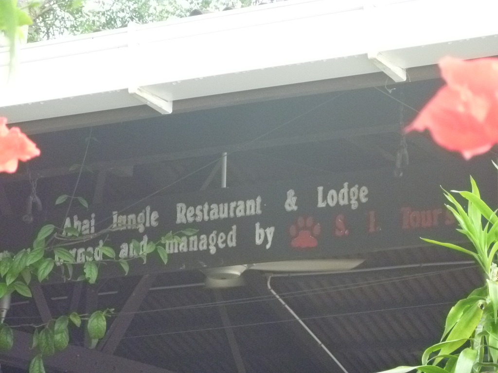 abai jungle lodge