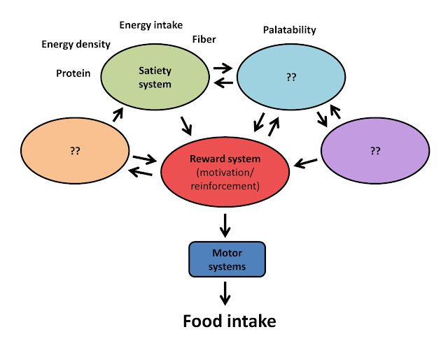 the factors that affect what we eat What or who influences your food choices lesson idea why do nutritionists recommend that we eat no what are other factors that help you decide what to eat . the factors that affect what we eat What or who influences your food choices lesson idea why do nutritionists recommend that we eat no what are other factors that help you decide what to eat .