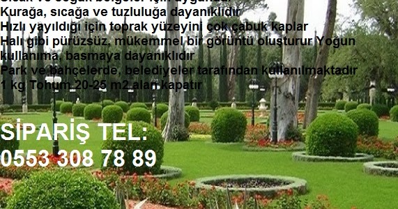 Geneltarim Ucuz Cim Tohumu Cim Tohumu Fiyati Cim Tohumu Fiyatlari Cim Tohumlari Cim Tohumu Cesitleri Cim Fiyati Cim Fiyatlari Cim Satis Cim Satisi Cim Tohumu Satis Cim Ekimi Cim Bakimi Karisim Cim Tohumu Karisimli Cim Tohumu Susuzluga Dayanikli Cim