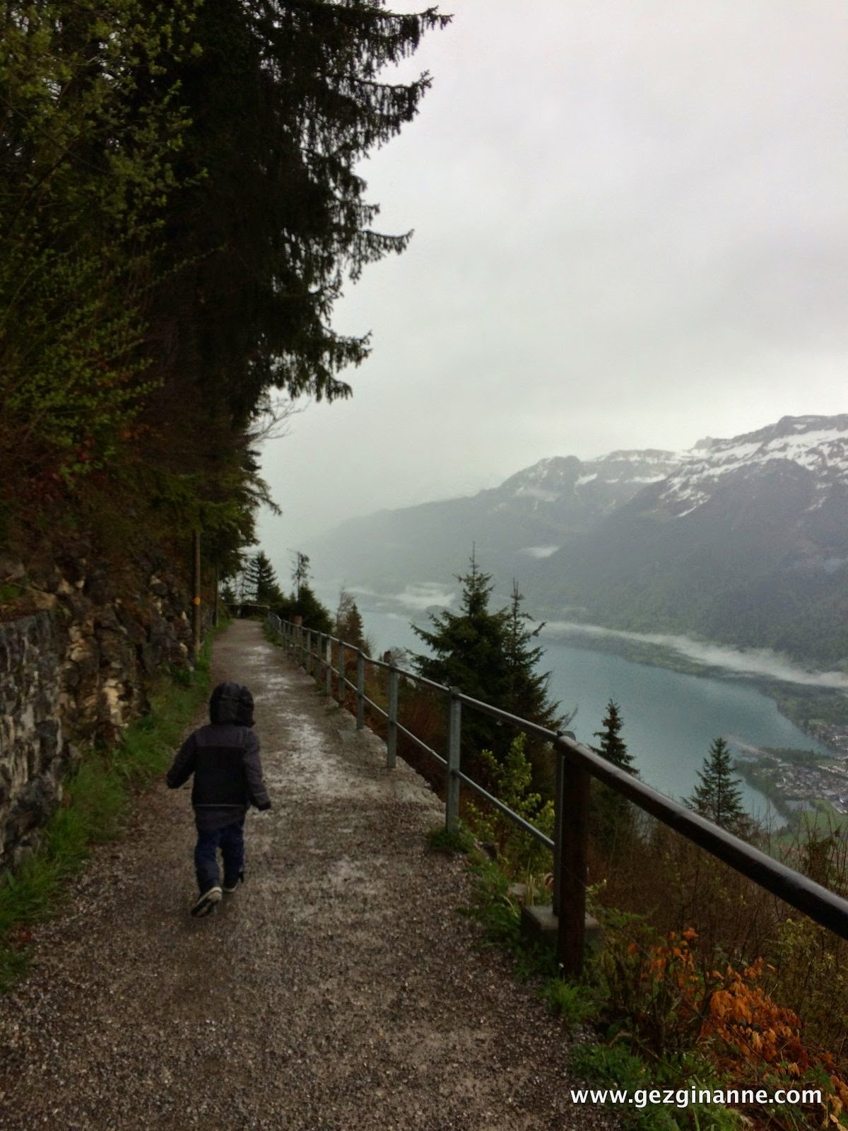 Harder Kulm