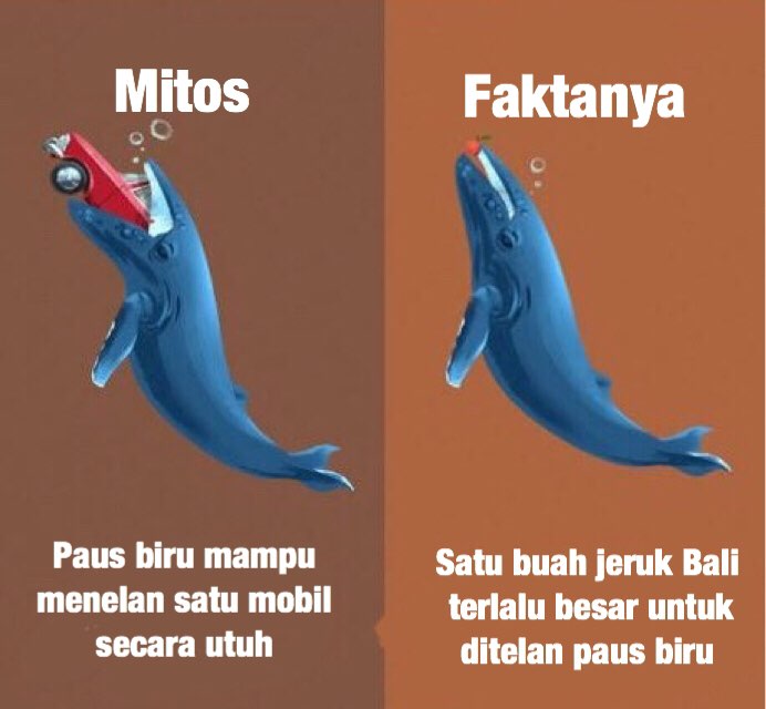 Kebenaran Mitos hewan yang sering di salah artikan | All in gadget