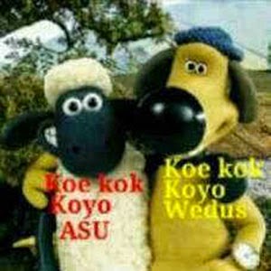 DP BBM Gokil Gambar Kata-kata Lucu  DP BBM Gokil Gambar Kata-kata Lucu