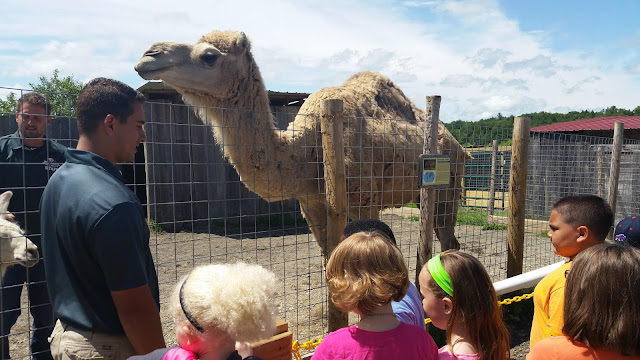 My Daughter's Field Trip:  Animal Adventure --Harpursville, NY --How Did I Get Here? My Amazing Genealogy Journey