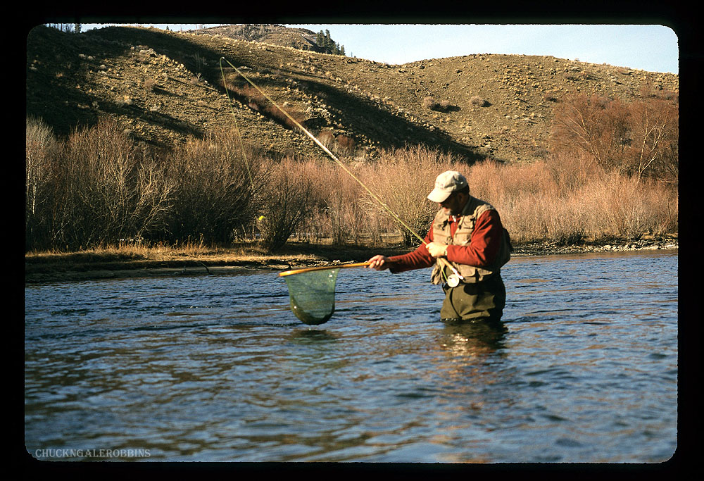 Chuck RobbinsOutdoors Fly Fishing Fly Friday...Mountain Whitefish