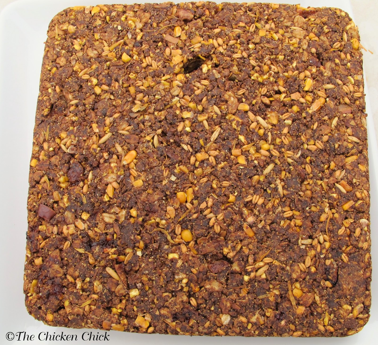 10+ Tips for Healthy Chickens The Chicken Chick®