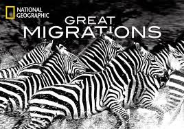 Great Migrations [FINAL]