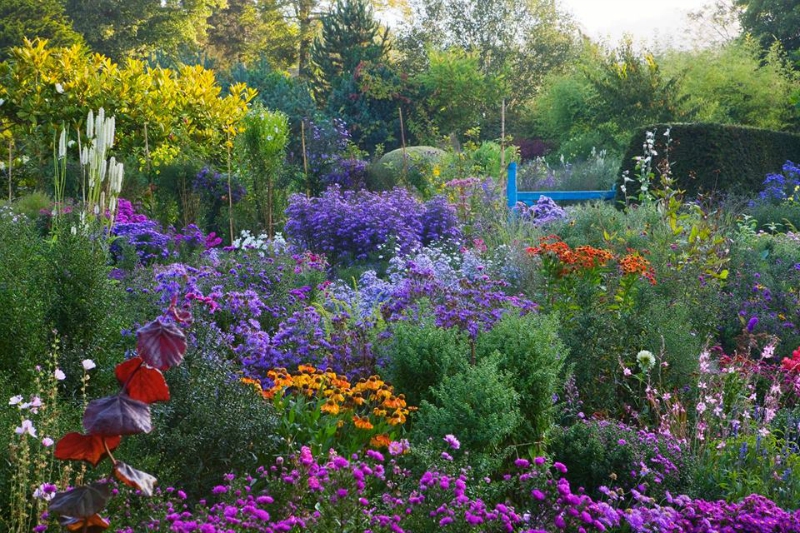 Foto del dÃa. The Picton Garden picton garden