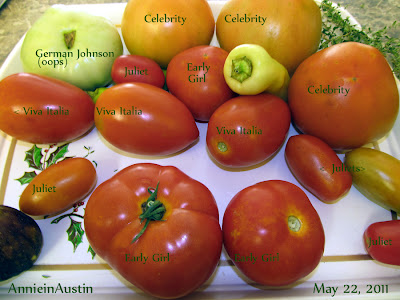 AnnieinAustin,2011,05, tomatoes with IDs