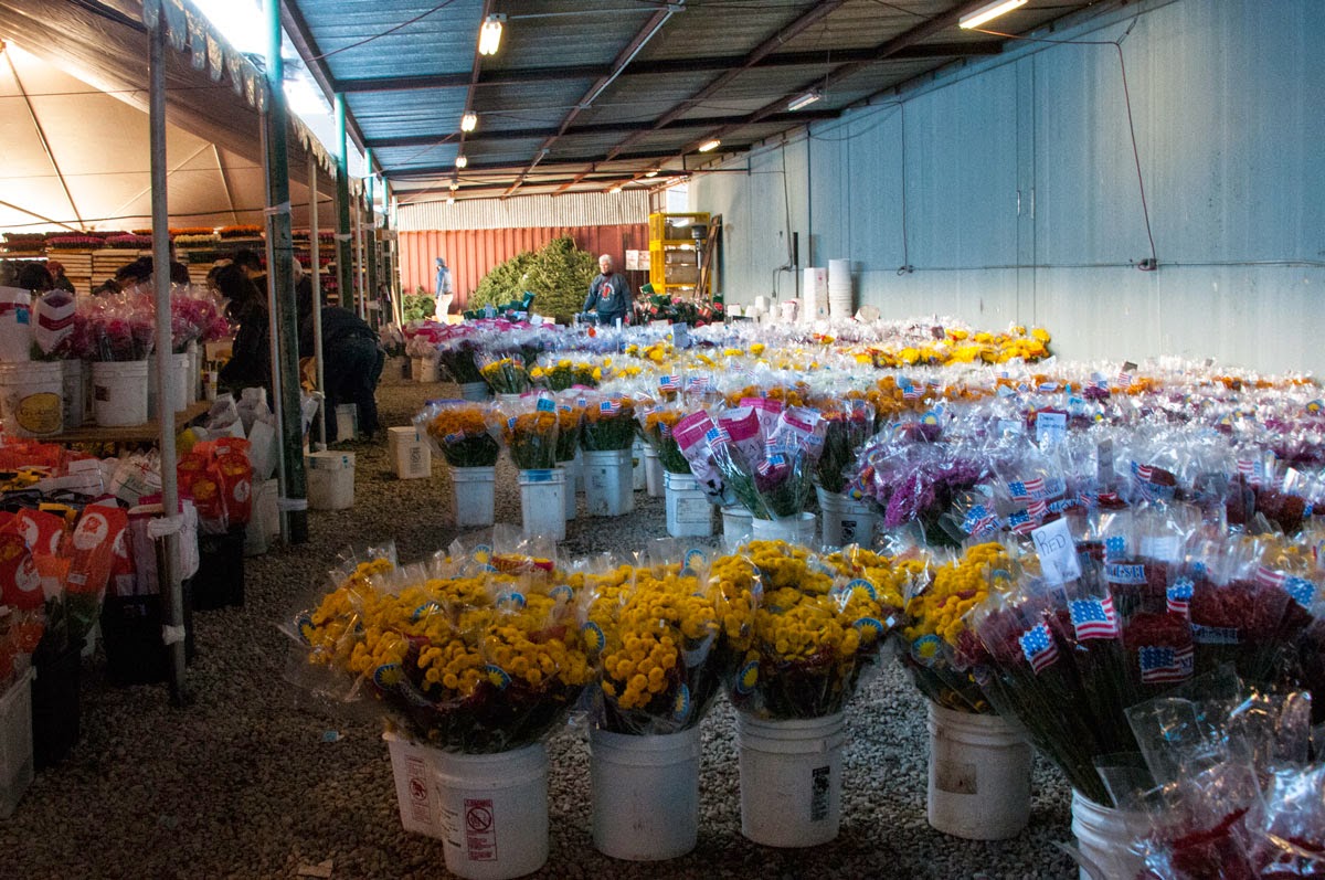 Kissack Adventures The Flower Shop .. Pasadena!!