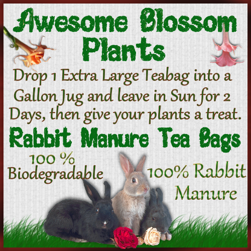 Awesome Blossom Plants Rabbit Manure