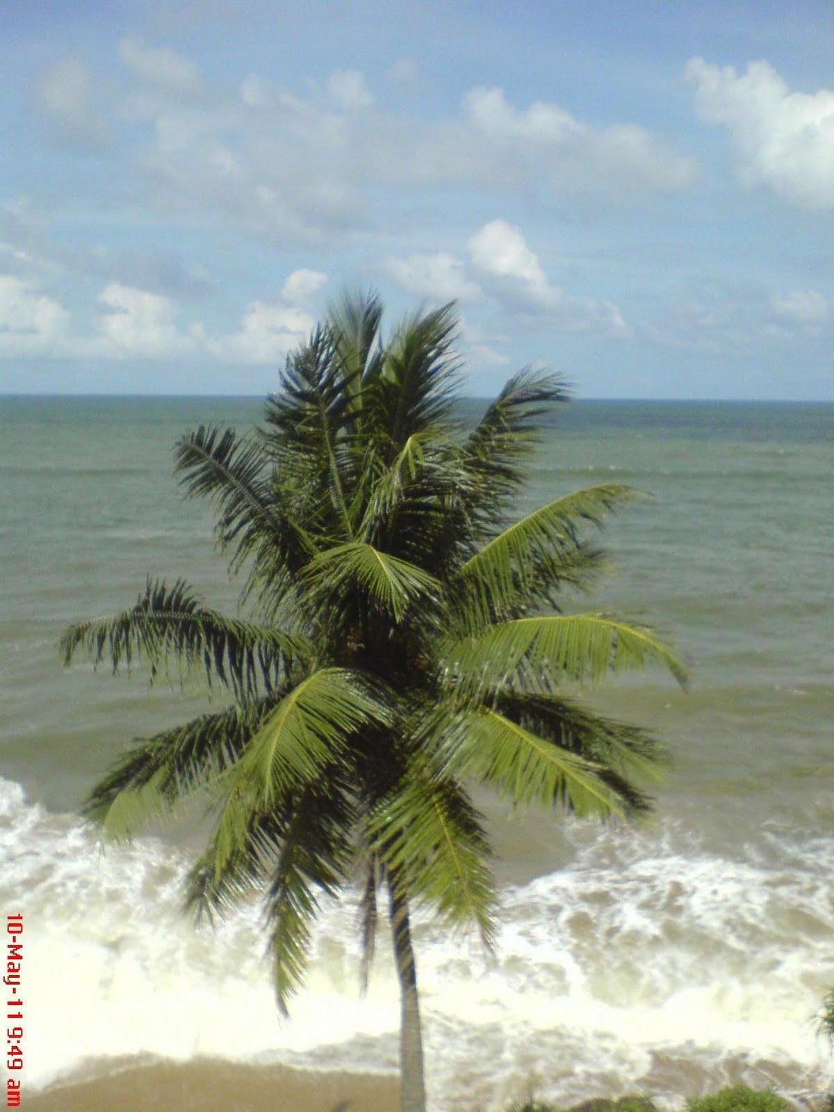 Explore Nature Mount Lavinia beach, Sri Lanka.