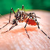 Turisteros, preocupados ante posibles cancelaciones por el virus del Zika