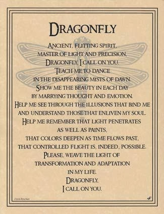 Dragonfly Poems And Qu... Dreamcatcher Poems
