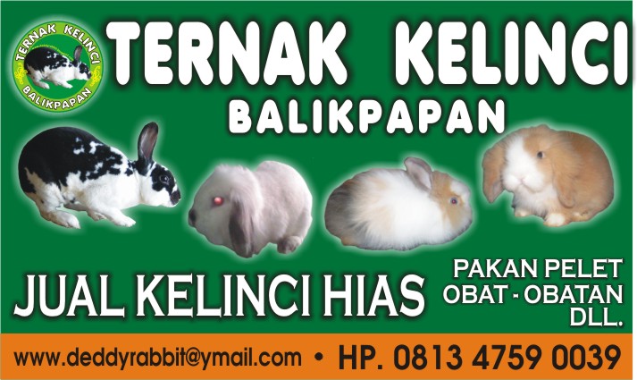 Ternak Kelinci Balikpapan New Ternak Kelinci Balikpapan