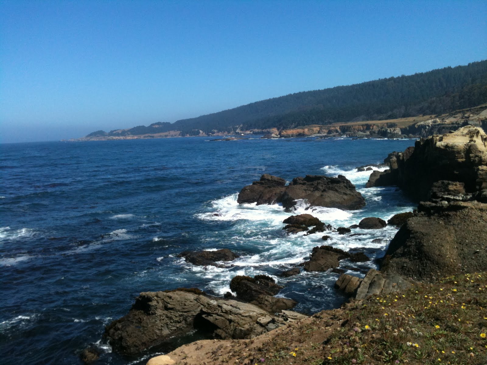 Salt Point