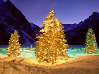 صور شجرة الكريسماس، صور تهنئة بمناسبة رأس السنة 2014 merry christmas 75