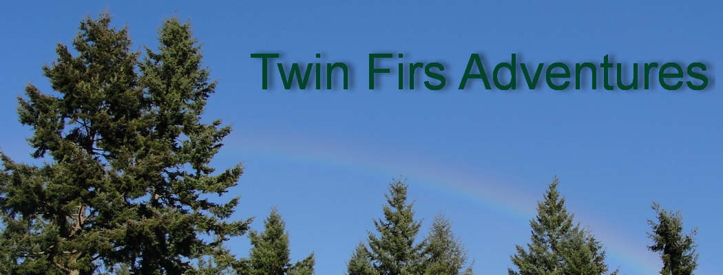 Twin Firs Adventures