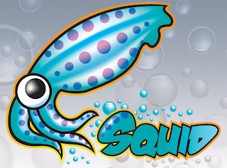 Squid cache