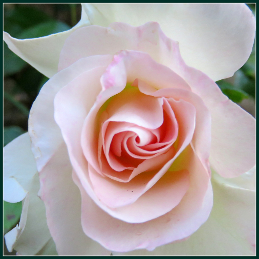 rencontres avec la poesie