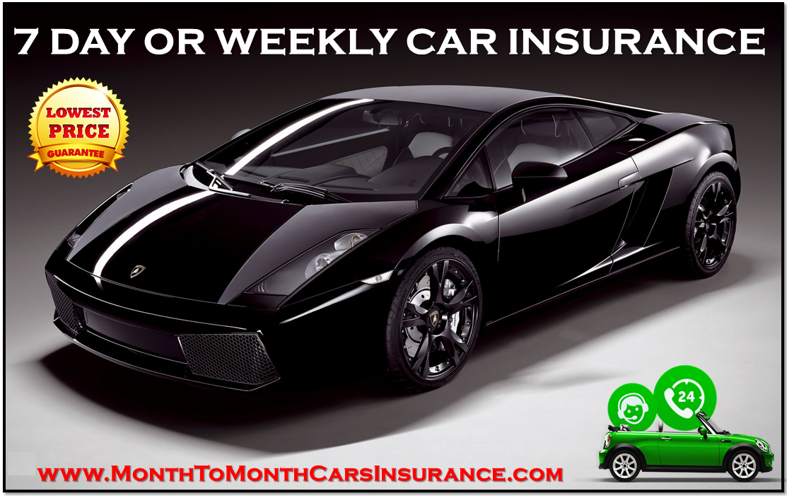 7 Day Or Weekly Car Insurance Policy