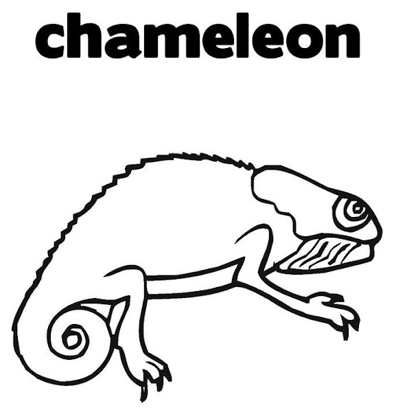 Printable Chameleon Coloring Pages