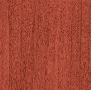 Sierra Cherry Swatch Sierra Cherry Swatch